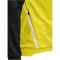 hummel hmlLEAD 2.0 Trainingsjacke Herren 5800 - blazing yellow/black S