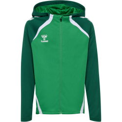 hummel hmlLEAD 2.0 Kapuzenjacke Kinder 6327 - jelly...