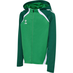 hummel hmlLEAD 2.0 Kapuzenjacke Kinder 6327 - jelly...