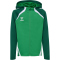 hummel hmlLEAD 2.0 Kapuzenjacke Kinder 6327 - jelly bean/evergreen 116