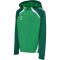 hummel hmlLEAD 2.0 Kapuzenjacke Kinder 6327 - jelly bean/evergreen 116