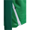 hummel hmlLEAD 2.0 Kapuzenjacke Kinder 6327 - jelly bean/evergreen 116