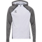 hummel hmlLEAD 2.0 Kapuzenjacke Herren 9396 - white/steel gray S
