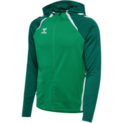 hummel hmlLEAD 2.0 Kapuzenjacke Herren 6327 - jelly...