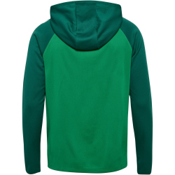 hummel hmlLEAD 2.0 Kapuzenjacke Herren 6327 - jelly...