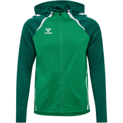 hummel hmlLEAD 2.0 Kapuzenjacke Herren 6327 - jelly...