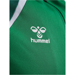 hummel hmlLEAD 2.0 Kapuzenjacke Herren 6327 - jelly...