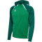 hummel hmlLEAD 2.0 Kapuzenjacke Herren 6327 - jelly bean/evergreen S