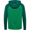 hummel hmlLEAD 2.0 Kapuzenjacke Herren 6327 - jelly bean/evergreen S