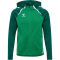 hummel hmlLEAD 2.0 Kapuzenjacke Herren 6327 - jelly bean/evergreen S