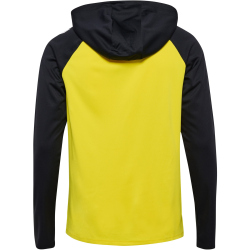 hummel hmlLEAD 2.0 Kapuzenjacke Herren 5800 - blazing...
