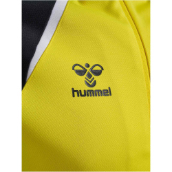 hummel hmlLEAD 2.0 Kapuzenjacke Herren 5800 - blazing...