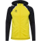 hummel hmlLEAD 2.0 Kapuzenjacke Herren 5800 - blazing yellow/black S