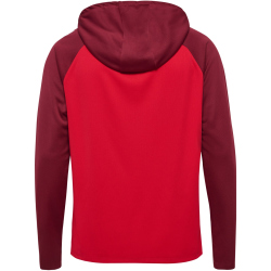 hummel hmlLEAD 2.0 Kapuzenjacke Herren 3713 - true...