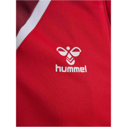 hummel hmlLEAD 2.0 Kapuzenjacke Herren 3713 - true...