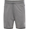 hummel hmlLEAD 2.0 Trainingsshorts Damen 2350 - steel gray XS
