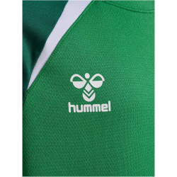 hummel hmlLEAD 2.0 Crew Sweatshirt Kinder 6327 - jelly...