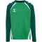 hummel hmlLEAD 2.0 Crew Sweatshirt Kinder 6327 - jelly bean/evergreen 116