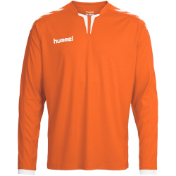 hummel Core Polyester Trikot langarm