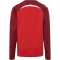 hummel hmlLEAD 2.0 Crew Sweatshirt Kinder 3713 - true red/maroon 116