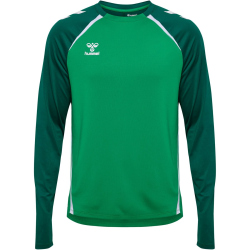 hummel hmlLEAD 2.0 Crew Sweatshirt Herren 6327 - jelly bean/evergreen S
