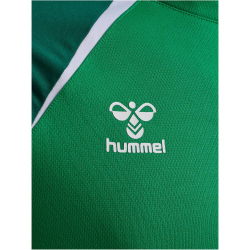 hummel hmlLEAD 2.0 Crew Sweatshirt Herren 6327 - jelly bean/evergreen M
