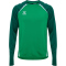hummel hmlLEAD 2.0 Crew Sweatshirt Herren 6327 - jelly bean/evergreen M