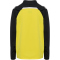 hummel hmlLEAD 2.0 1/2-Zip Trainings-Top Kinder 5800 - blazing yellow/black 116