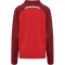 hummel hmlLEAD 2.0 1/2-Zip Trainings-Top Kinder 3713 - true red/maroon 116