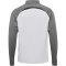hummel hmlLEAD 2.0 1/2-Zip Trainings-Top Herren 9396 - white/steel gray XS