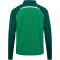 hummel hmlLEAD 2.0 1/2-Zip Trainings-Top Herren 6327 - jelly bean/evergreen XS