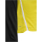 hummel hmlLEAD 2.0 1/2-Zip Trainings-Top Herren 5800 - blazing yellow/black XS