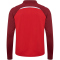 hummel hmlLEAD 2.0 1/2-Zip Trainings-Top Herren 3713 - true red/maroon XS