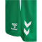 hummel hmlLEAD 2.0 Shorts Damen 6235 - jelly bean XS