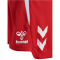 hummel hmlLEAD 2.0 Shorts Kinder 3062 - true red 116
