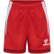 hummel hmlLEAD 2.0 Shorts Kinder 3062 - true red 140