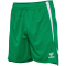 hummel hmlLEAD 2.0 Shorts Herren 6235 - jelly bean S