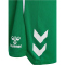 hummel hmlLEAD 2.0 Shorts Herren 6235 - jelly bean S