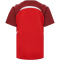 hummel hmlLEAD 2.0 Trikot Kinder 3713 - true red/maroon 116