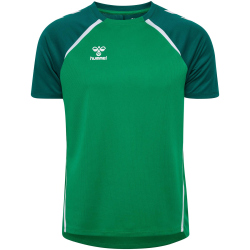 hummel hmlLEAD 2.0 Trikot Herren 6327 - jelly...