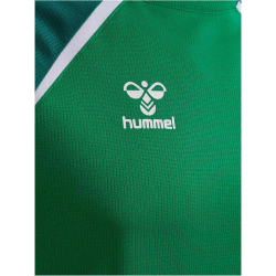 hummel hmlLEAD 2.0 Trikot Herren 6327 - jelly...