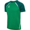 hummel hmlLEAD 2.0 Trikot Herren 6327 - jelly bean/evergreen S