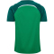hummel hmlLEAD 2.0 Trikot Herren 6327 - jelly bean/evergreen S
