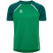 hummel hmlLEAD 2.0 Trikot Herren 6327 - jelly bean/evergreen S