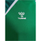 hummel hmlLEAD 2.0 Trikot Herren 6327 - jelly bean/evergreen S