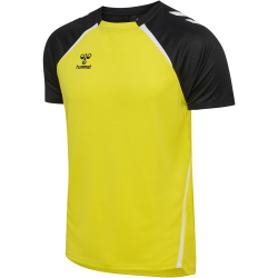 hummel hmlLEAD 2.0 Trikot Herren 5800 - blazing...
