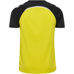 hummel hmlLEAD 2.0 Trikot Herren 5800 - blazing...