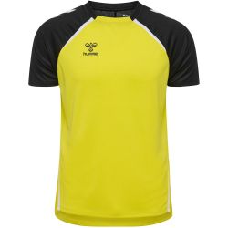 hummel hmlLEAD 2.0 Trikot Herren 5800 - blazing...