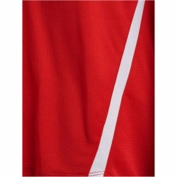 hummel hmlLEAD 2.0 Trikot Herren 3713 - true red/maroon S