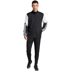 adidas Squadra 25 Trainingshose Herren